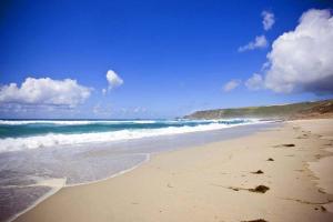 The Studio Beach Cottage Sea views Garden Amazing Location