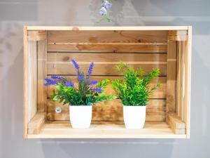 Suebi Central - Deluxe Rooms & Family Suites