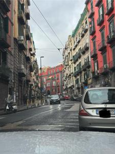 Cavallerizza home al museo