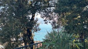 Casa Chiara with Terrace and Sea View