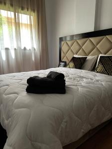 Luxury apartment in the heart of Marrakech