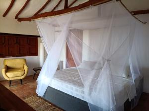 El Paraiso - B&B Finca San Vicente