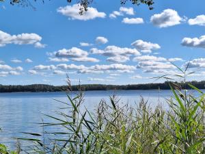 Mazurski domek nad jeziorem w miejscowości Elganowo