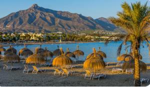 Estudio Cosmopolita 2