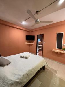 Comfortable studio steps from the beach and 5th Avenue