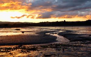 Cabaña con vista al mar frente al humedal,Casa Mareal