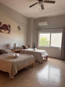 Centric 2 beds loft with pool 5 mins from ADO