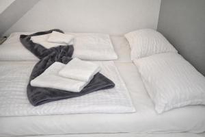 Urban Stay Karlsruhe Akademie frieden apartments