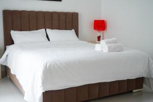 Spot Central & Cosy Derrière Hôtel Barcelo Tanger