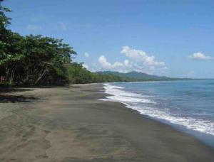 Cattleya Cabin in Cahuita