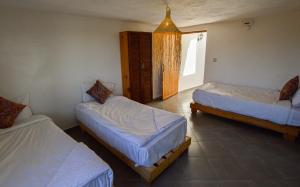 Single fin taghazout surf & stay