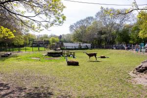 Modern Two Bedroom Home near Canary Wharf with Garden and Free Parking