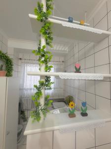 07 - Apê Horizonte poucos metros da praia em BC