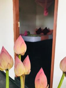 Rooms at Maduka Restaurant
