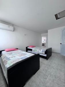 Delfines De Bocagrande