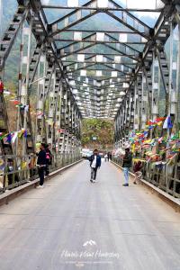 Himali Khim Homestay, Sittong, Darjeeling