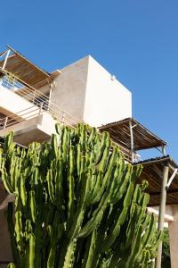 Smala Beldi Guest House