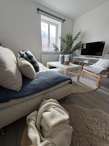 Apartmány Loučky