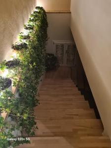 B&B Casa Peppa img14