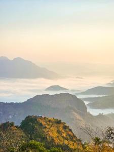 Pha Mok Paradise Camping in Nongkhiaw