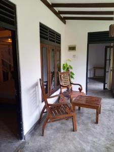 Peace Nest