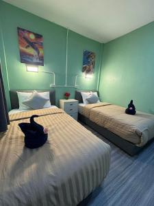 Primmy house kohtao