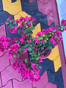 Casa Grande Homestay Anaviratty Munnar