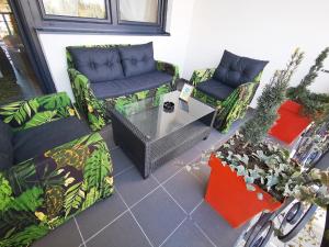 Butterfly Cozy Apartment