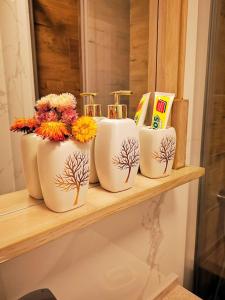 Butterfly Cozy Apartment