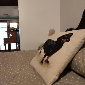 Alloggio Turistico "LIncontro" 6