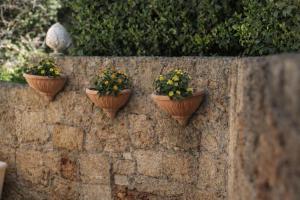 Dimora Li Santi e Casina Matilde by Salento Mare Cielo Travel Slow Live More