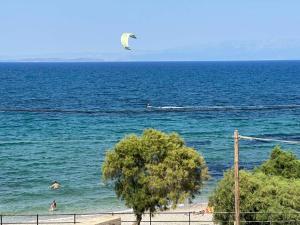 Geomelos Theodoros Apartments!