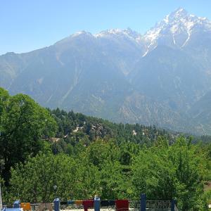 Hotel Kailash View, Kalpa