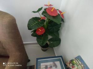 A beautiful family stay