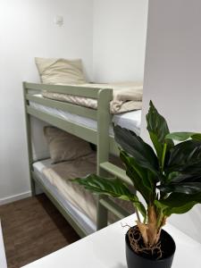 Ostend beach&city loft