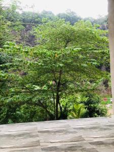 Unawatuna Backpacker Lodge