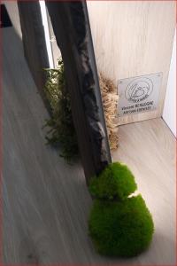 Appartement calme et raffiné en hypercentre dans une résidence historique parking