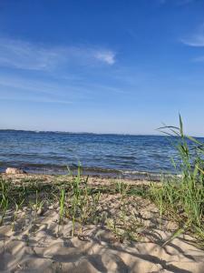 Ankerplatz und Ausguck - ruhige FeWo nahe der Ostsee