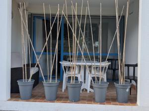 Charmant T2 en rez de chaussée