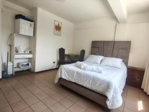 Cochabamba Mágica Aniceto Arce