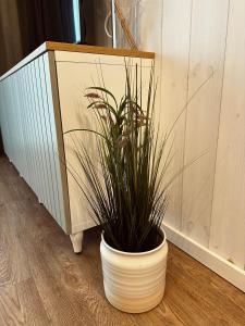 Jaukūs apartamentai Svencelėje