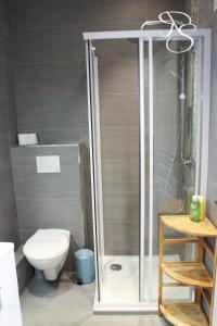 Beautiful studio Cannes Center