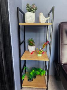 remodeled full apartment , jaco herradura ,2 bedrooms