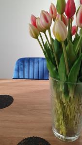 New Market Apartment Poznań