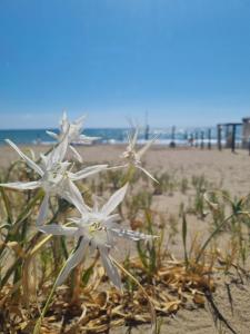 Casa sulla spiaggia - Sea and Sand