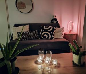 Le Salluste cosy T2 with balcony in Strasbourg