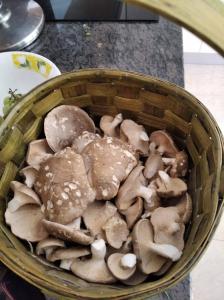EL PINAR DE BARDENA
