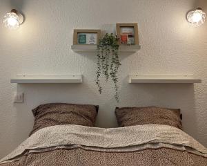 La Royale au Le Cap dAgde