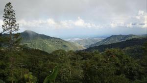 Casa Nido - En la cima del Queremal