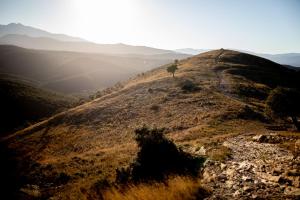La bergerie de Sant Marti de la Roca